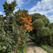 IMG-0496