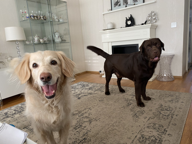 C745404-F-D099-4-F0-E-99-D5-A0-A771-CBC0