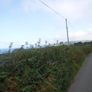 DSCF5488