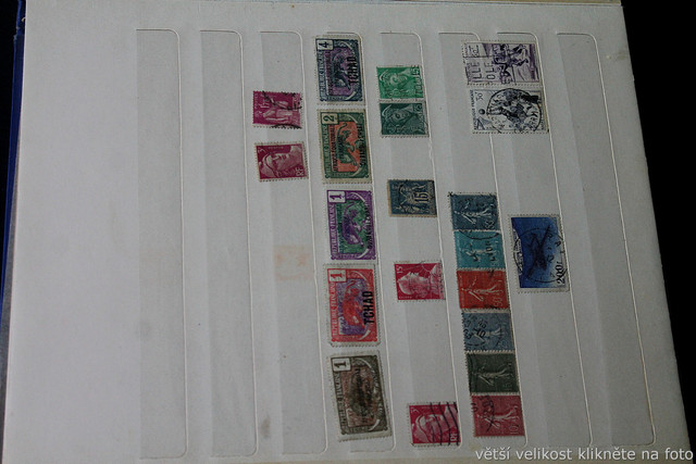 IMG-6960.jpg