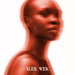 alek.png