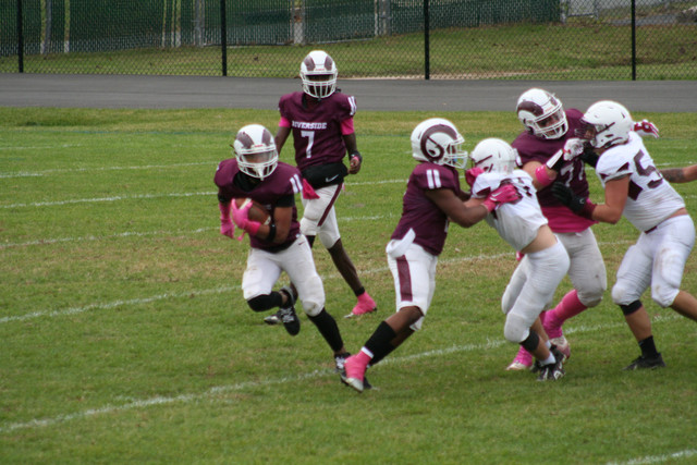 IMG-0342.jpg