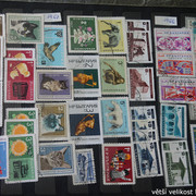 IMG-3020