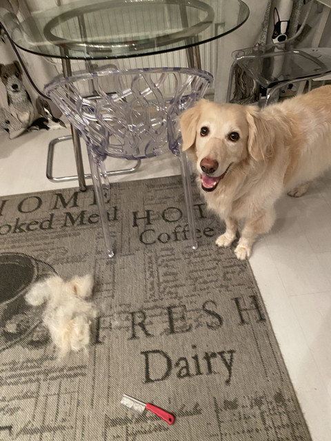 A3-C143-BB-E7-DF-4-E42-AEF3-4-E04-AC1-E3