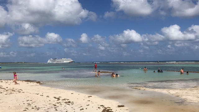 IMG 7171