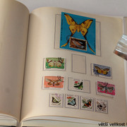 IMG-3974