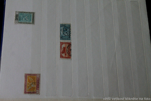 IMG-6970.jpg
