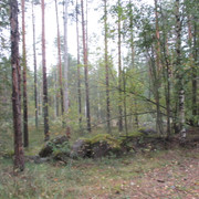 IMG-9685