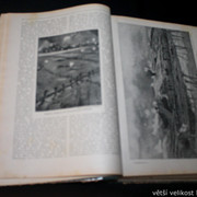 IMG-7096