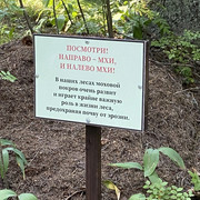 IMG-3052