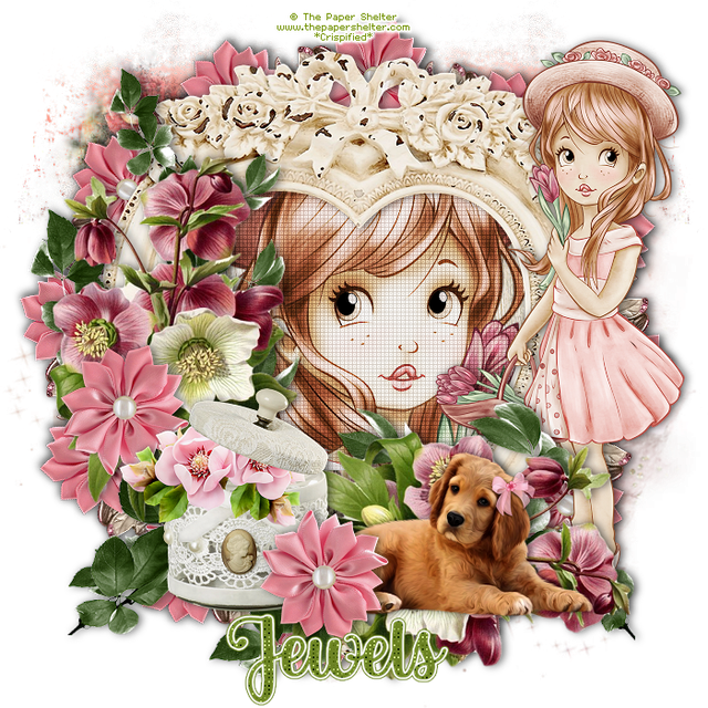 Jewels-4312-F