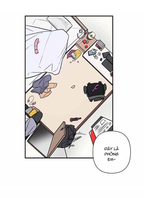 042.png