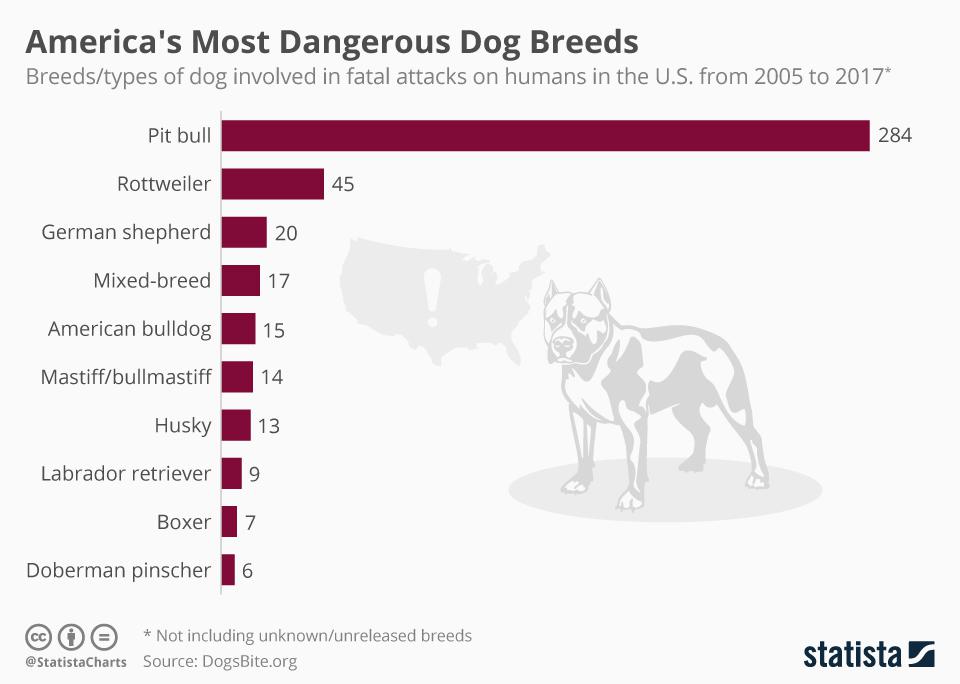 20180914-Deadly-Dogs-Forbes.jpg