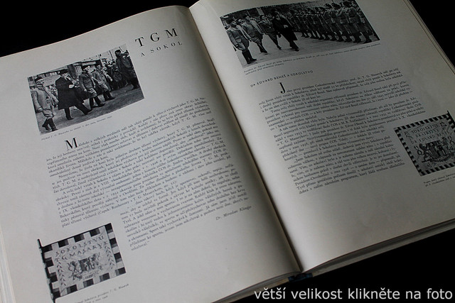 IMG-5540.jpg