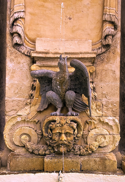 IMGP4318.jpg