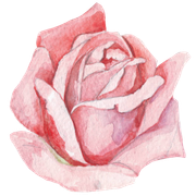 Roses-20