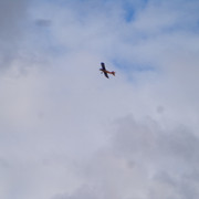 DSC00021