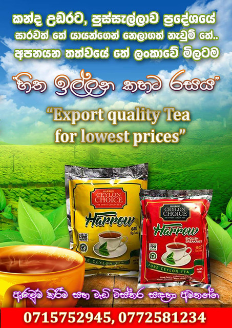 Ceylon-Tea.jpg