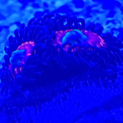 20180807 125353