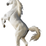 horse-PNG2560-result