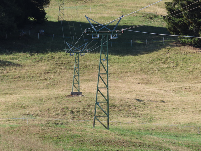 IMG 1689.jpg