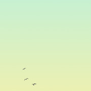 Landscape7