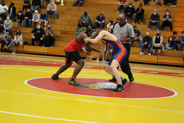 IMG-0419
