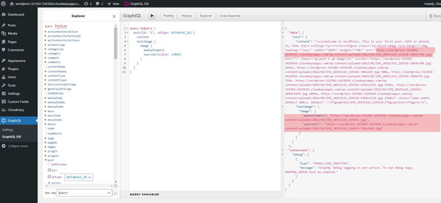 cloudinary-3-0-1-wpgraphql-output