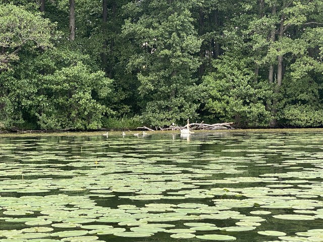 299-FCC34-EBDC-4-C6-B-A9-CF-B313-F3-E145