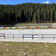 IMG-3372