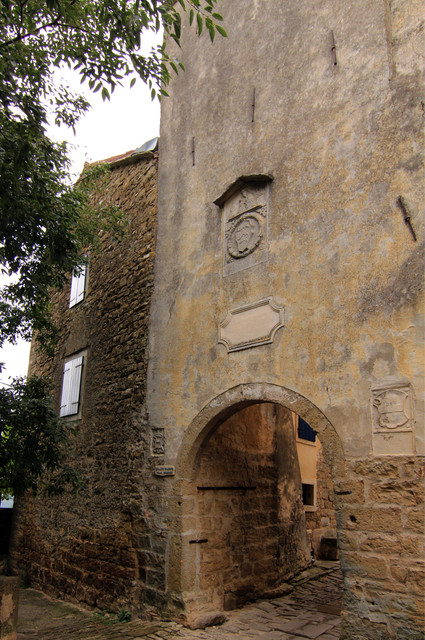 IMG-9589.jpg