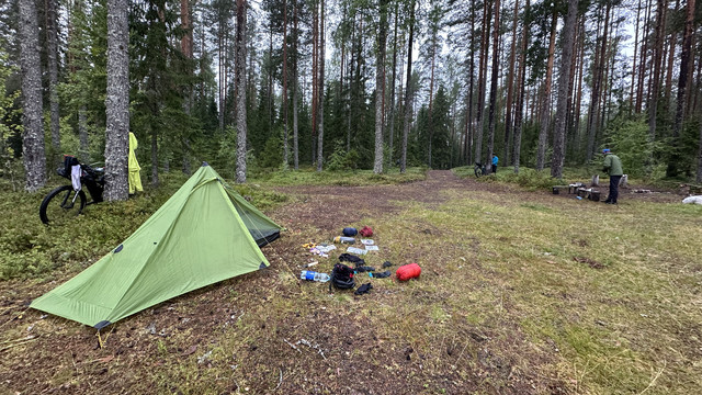 IMG 4494.jpg