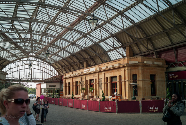 L1013659.jpg