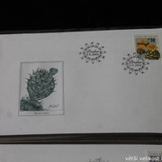 IMG-2712