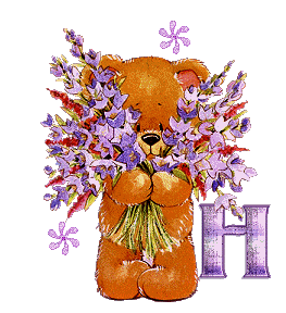 h.gif
