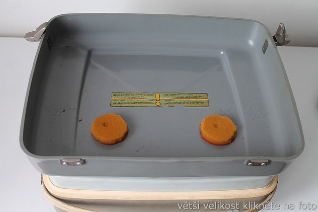 IMG-5326.jpg