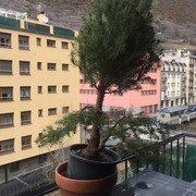 IMG-8682
