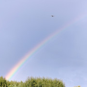 IMG20220208051209