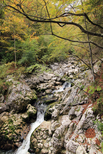 IMG-0359