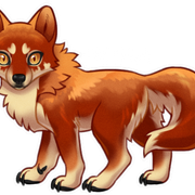 Wolvden-Adopt-Sol-fullsize