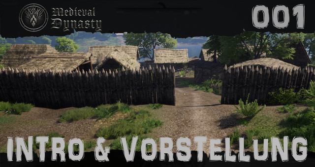 Videobild-001