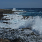 DSCF8204