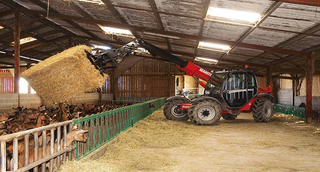 activitati incarcator telescopic manitou