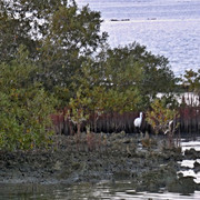 P1290092