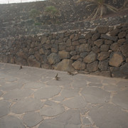 DSC00884