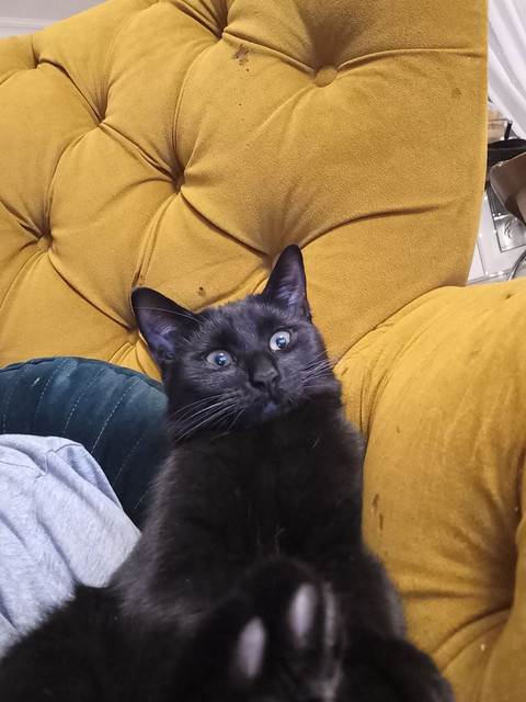 Zosia