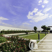 IMG-0836