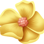 In-The-Spring-34