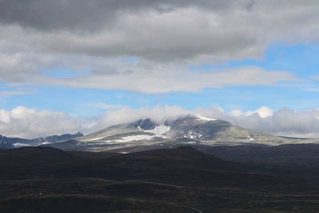 IMG 0596