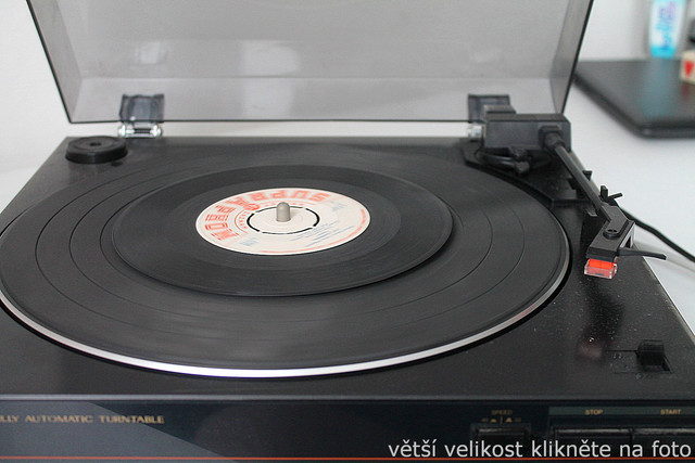 IMG-6429.jpg